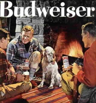 Budweiser Beer Ad