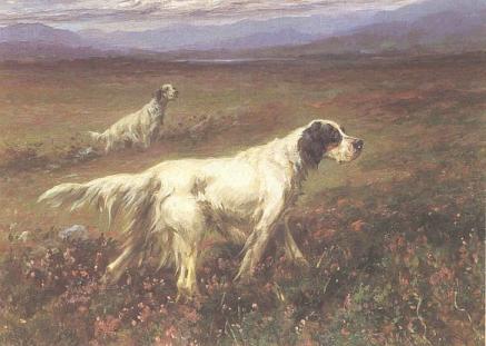 ES On The Moors by Maud Earl