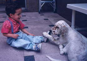 English Setters are great with children!