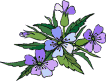 Animated blooming flowers