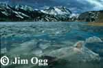 Gull Lake Breakup Image