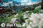 Little Lakes Valley Image