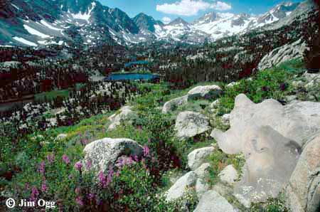 Little Lakes Valley Vista Expanded Image