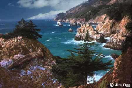 Big Sur Vista Expanded Image