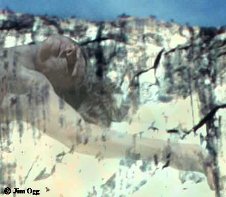 El Capitan Birthmarks High Resolution Selection Image