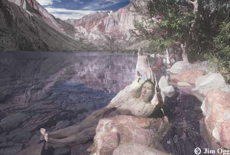 Convict Lake Stump Expanded Image