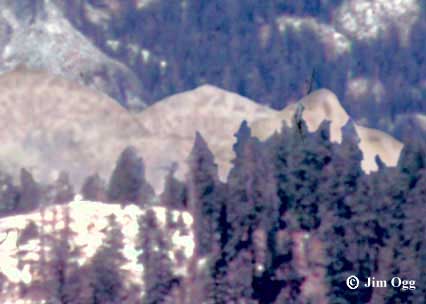 Minaret Vista High Resolution Selection Image